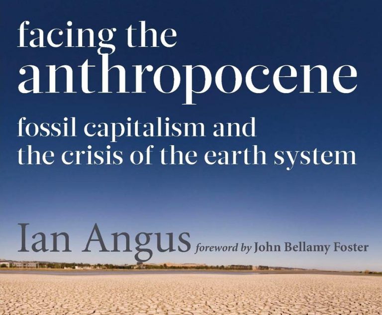 facing the anthropocene